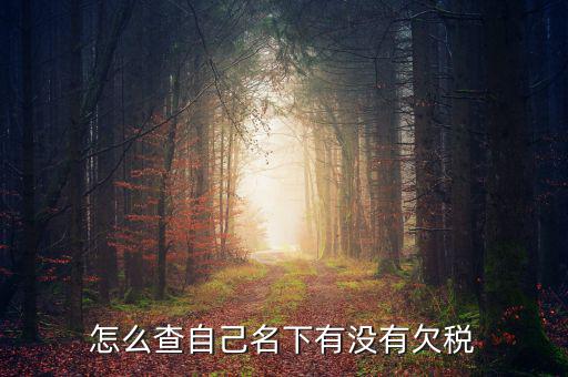 如何查欠稅記錄，怎么查個人有沒有欠稅