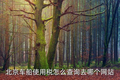 北京車(chē)船稅如何查詢(xún)系統(tǒng)，北京車(chē)船使用稅怎么查詢(xún)交沒(méi)交