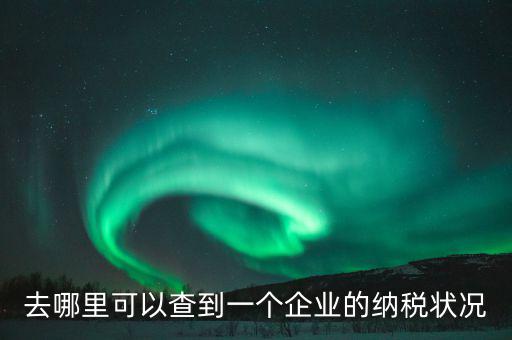 企業(yè)在哪納稅如何查，去哪里可以查到一個企業(yè)的納稅狀況