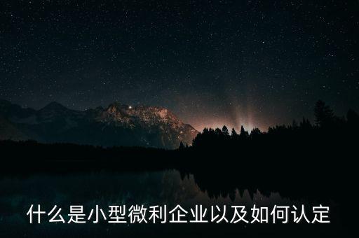 如何申請小微企業(yè)認(rèn)證，怎么申請辦理小微企業(yè)