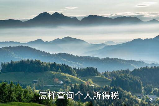 如何查詢個(gè)人交稅，個(gè)人所得稅繳納記錄怎么查詢