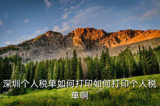 深圳網(wǎng)上如何打印稅單，怎樣在網(wǎng)上打印稅單我是深圳寶安區(qū)的
