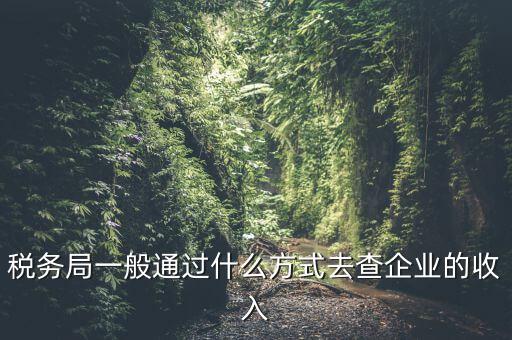 稅務(wù)如何統(tǒng)計(jì)收入，小規(guī)模增值稅季報(bào)在哪里統(tǒng)計(jì)收入