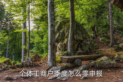 個(gè)體戶地稅如何零申報(bào)，個(gè)體工商戶地稅零申報(bào)怎樣報(bào)