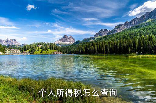 如何查稅，怎么查自己交了多少稅