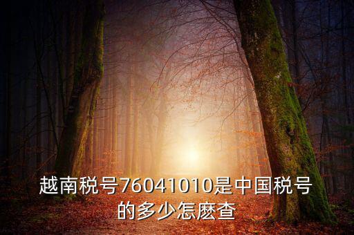 中國如何查個人稅號，越南稅號76041010是中國稅號的多少怎麼查