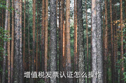 如何認(rèn)證增值稅進(jìn)項(xiàng)稅，進(jìn)項(xiàng)稅怎么認(rèn)證