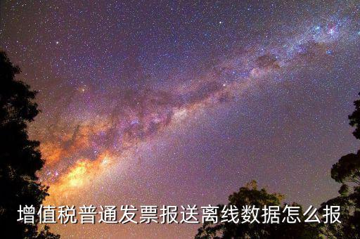 如何報(bào)送發(fā)票數(shù)據(jù)，河北國(guó)稅普通發(fā)票怎么報(bào)送