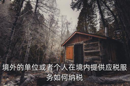 境外機(jī)構(gòu)如何繳納增值稅，來源于境外收入怎么交增值稅