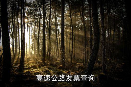 如何知道道路發(fā)票幾級，汽車的增值稅發(fā)票怎么看