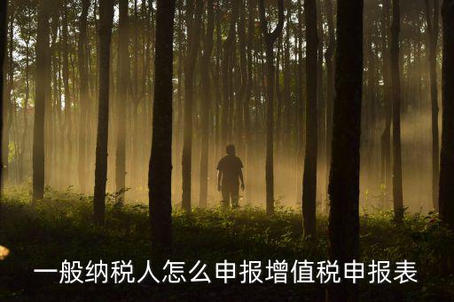 增值一般納稅人國稅如何申報，一般納稅人怎么申報增值稅申報表