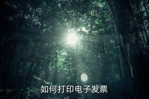 如何打印電子稅務(wù)局的電子發(fā)票，電子發(fā)票怎樣打印