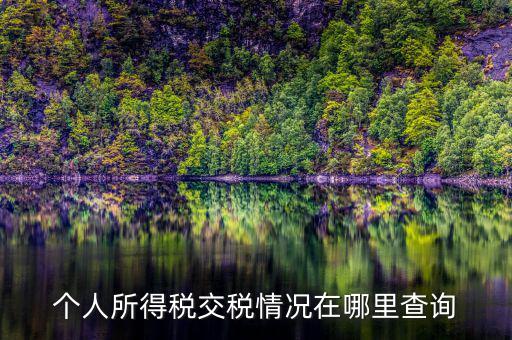 個(gè)人所得稅交稅情況在哪里查詢(xún)