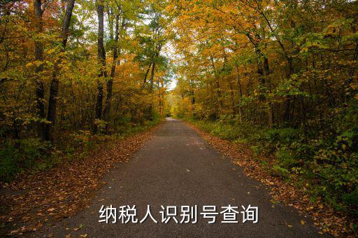 如何查公司納稅人識(shí)別號(hào)，納稅人識(shí)別號(hào)查詢(xún)