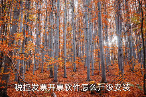 開票系統(tǒng)如何升級成品油軟件，稅率調(diào)整開票軟件如何升級