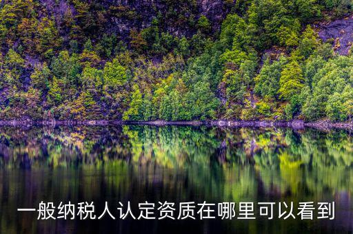 如何查看稅務(wù)資質(zhì)，一般納稅人認(rèn)定資質(zhì)在哪里可以看到