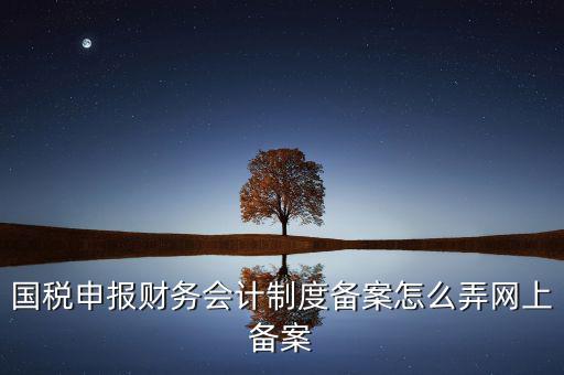 電子稅務(wù)局如何會(huì)計(jì)制度備案，2017年電子稅務(wù)局財(cái)務(wù)報(bào)表備案是不是可以馬上填寫