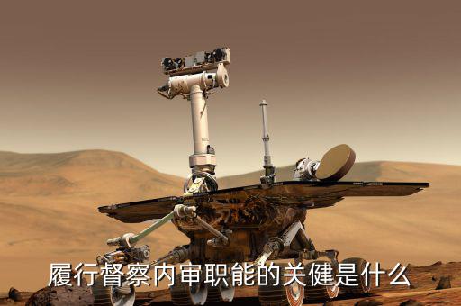 如何加強督察內審工作，稅務局督察內審工作職責