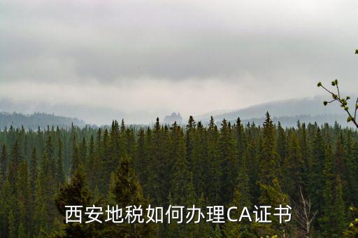 如何申請地稅ca證書，西安地稅如何辦理CA證書