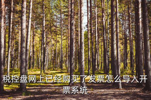 如何進入開票系統(tǒng)，怎么進入國家稅務(wù)局發(fā)票填開系統(tǒng)