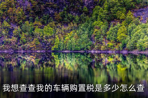如何看購置稅發(fā)票，我想查查我的車輛購置稅是多少怎么查