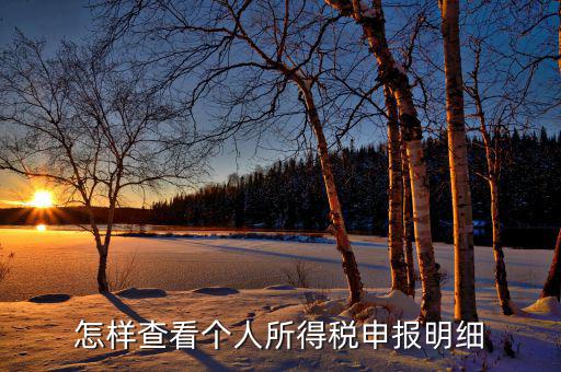 如何查詢個人所得稅明細申報，怎樣查看個人所得稅申報明細