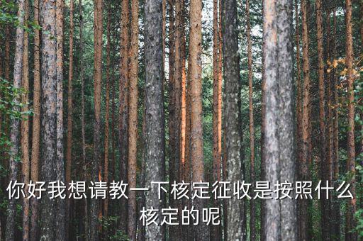 核定征收認定如何認定，如何核定征收