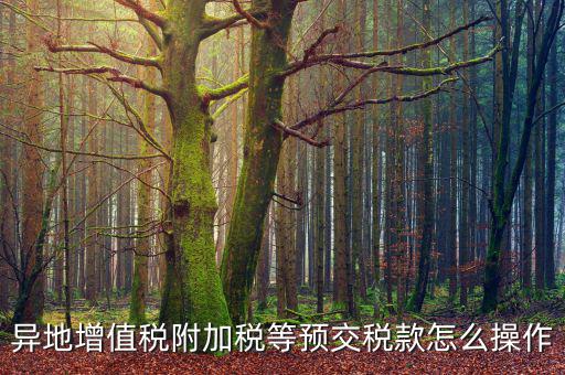 跨區(qū)稅源登記 如何繳納附加稅，異地增值稅附加稅等預(yù)交稅款怎么操作