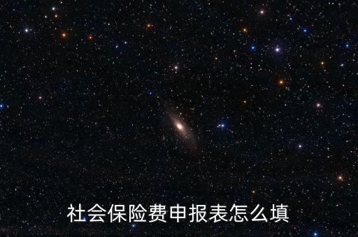 稅務(wù)系統(tǒng)社保費申報表如何填報，社會保險費申報表怎么填