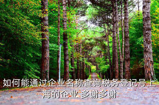 如何查詢(xún)稅務(wù)登記號(hào)碼，如何能通過(guò)企業(yè)名稱(chēng)查詢(xún)稅務(wù)登記號(hào)上海的企業(yè) 多謝多謝