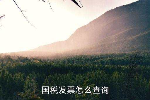 河北省的發(fā)票如何查詢，我的發(fā)票在河北地稅網(wǎng)上可以查到信息都沒有問題但是河北地稅