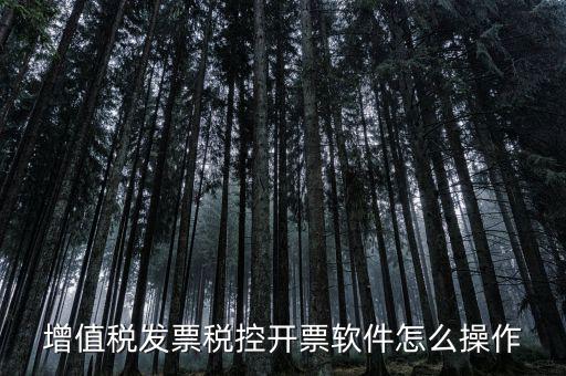 百望開票軟件如何開票，百望開票系統(tǒng)發(fā)票抬頭有符號怎么打