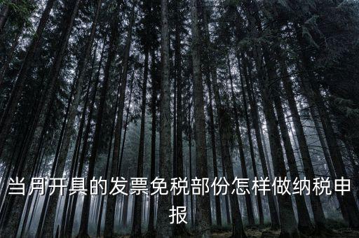 免稅和納稅如何申報(bào)，當(dāng)月開具的發(fā)票免稅部份怎樣做納稅申報(bào)