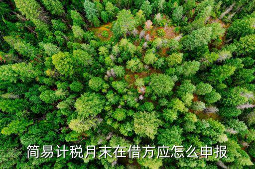 環(huán)保稅如何按簡易申報，環(huán)保稅怎么申報