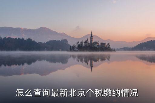 北京市 欠稅人員如何查詢，稅務(wù)欠稅信息如何查詢