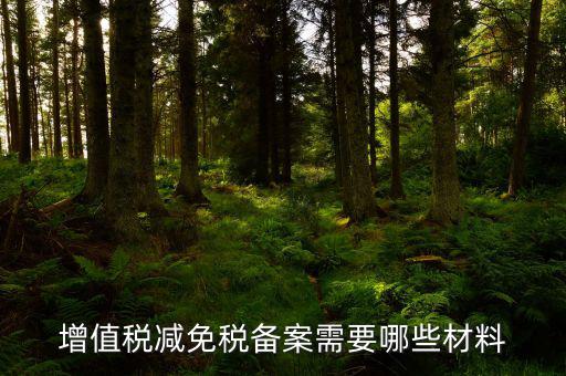 如何辦理納稅人減免稅備案登記，增值稅減免稅備案需要哪些材料