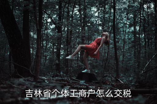 吉林個(gè)人所得稅如何申報(bào)，個(gè)人所得稅申報(bào)問題吉林省