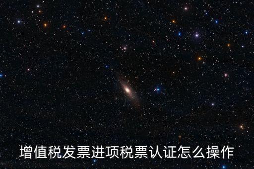 增值稅發(fā)票進項稅票認證怎么操作