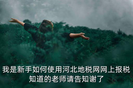 我是新手如何使用河北地稅網網上報稅知道的老師請告知謝了