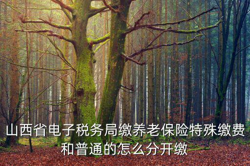 山西養(yǎng)老保險(xiǎn)如何和國(guó)稅局對(duì)接，交養(yǎng)老保險(xiǎn)交到國(guó)家稅務(wù)總局怎么辦