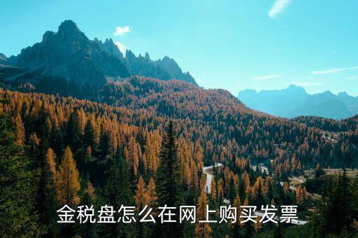 金稅盤如何網(wǎng)上購票，金稅盤領(lǐng)購發(fā)票的流程
