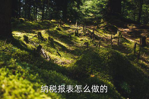 如何做數(shù)據(jù)報稅，在開普票里每月1號申報數(shù)據(jù)具體怎么弄的先點擊報稅再點