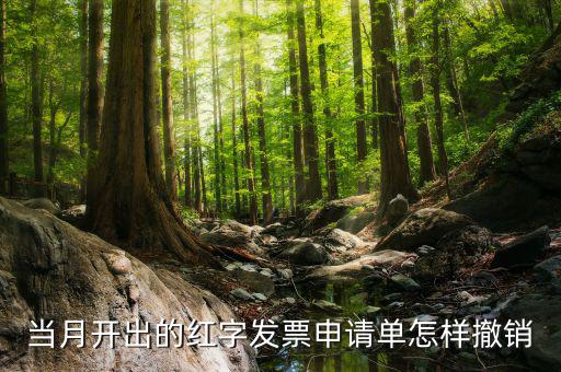 如何撤銷紅字發(fā)票申請(qǐng)書，紅字申請(qǐng)單如何作廢