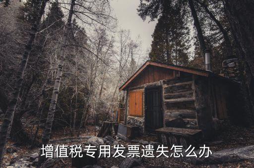 丟失專用發(fā)票如何，丟失空白增值稅專用發(fā)票如何處理