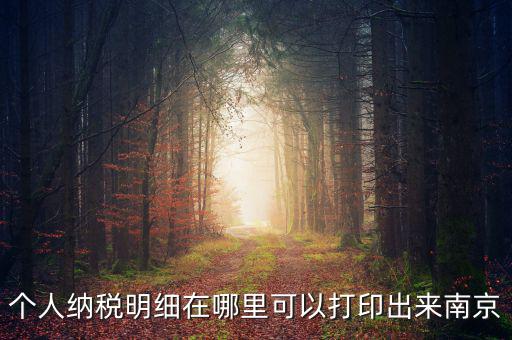 如何打印個(gè)稅明細(xì)，個(gè)人納稅明細(xì)在哪里可以打印出來(lái)南京