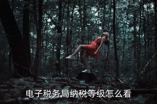 如何查詢納稅人納稅等級(jí)，電子稅務(wù)局納稅等級(jí)怎么看