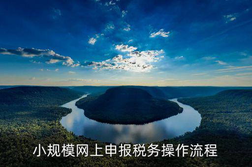 小規(guī)模網(wǎng)上申報稅務(wù)操作流程