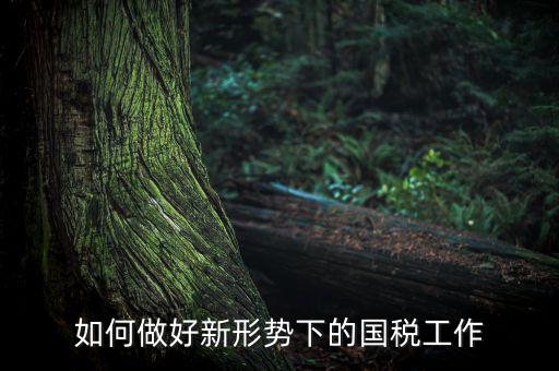 如何貫徹國稅工作會議上的講話，如何貫徹落實國稅系統(tǒng)化政府采購工作規(guī)范
