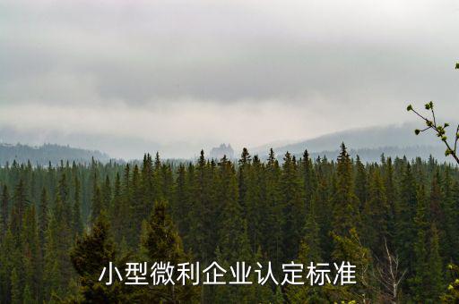 如何確定是小微企業(yè)，小型微利企業(yè)認(rèn)定標(biāo)準(zhǔn)