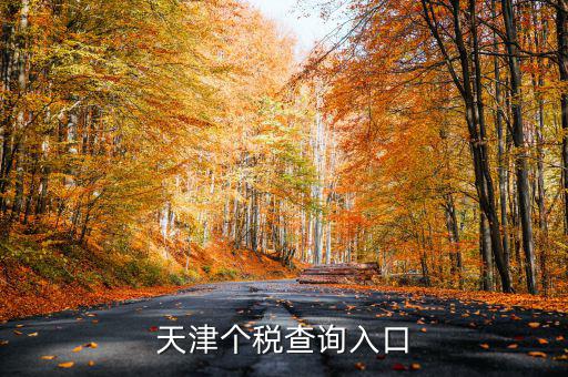 天津個稅如何查詢密碼，天津個稅查詢?nèi)肟?/></a></span><span id=